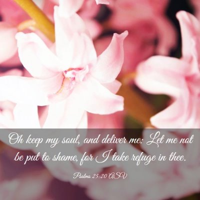 Picture 03 - Psalms 25:20 ASV - Oh keep my soul, and deliver me: Let me not be - Bible Verse Picture