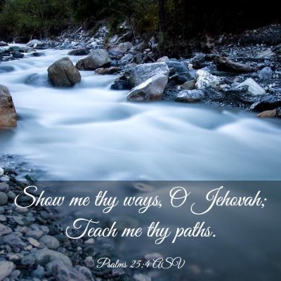 Picture 03 - Psalms 25:4 ASV - Show me thy ways, O Jehovah; Teach me thy - Bible Verse Picture