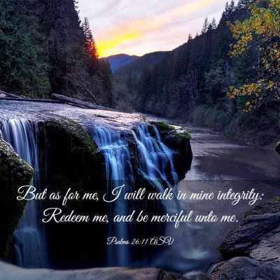 Picture 03 - Psalms 26:11 ASV - But as for me, I will walk in mine integrity: - Bible Verse Picture