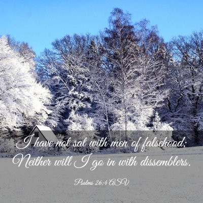 Picture 03 - Psalms 26:4 ASV - I have not sat with men of falsehood; Neither - Bible Verse Picture