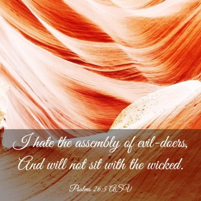 Picture 03 - Psalms 26:5 ASV - I hate the assembly of evil-doers, And will not - Bible Verse Picture