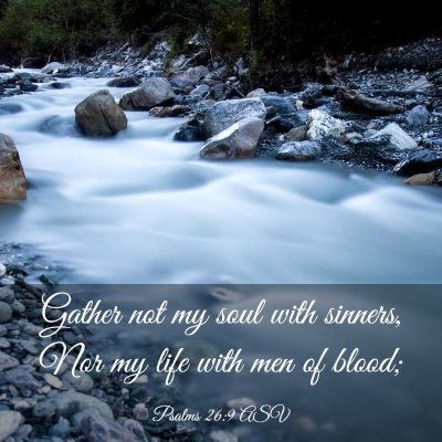 Picture 03 - Psalms 26:9 ASV - Gather not my soul with sinners, Nor my life with - Bible Verse Picture