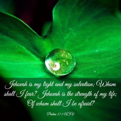 Picture 03 - Psalms 27:1 ASV - Jehovah is my light and my salvation; Whom shall - Bible Verse Picture