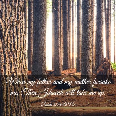 Picture 03 - Psalms 27:10 ASV - When my father and my mother forsake me, Then - Bible Verse Picture