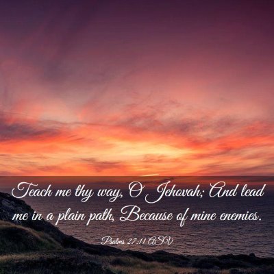 Picture 03 - Psalms 27:11 ASV - Teach me thy way, O Jehovah; And lead me in a - Bible Verse Picture