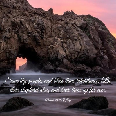 Picture 03 - Psalms 28:9 ASV - Save thy people, and bless thine inheritance: Be - Bible Verse Picture