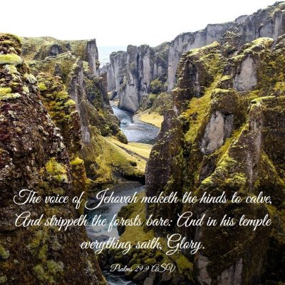 Picture 03 - Psalms 29:9 ASV - The voice of Jehovah maketh the hinds to calve, - Bible Verse Picture