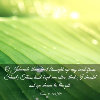 Picture 03 - Psalms 30:3 ASV - O Jehovah, thou hast brought up my soul from - Bible Verse Picture