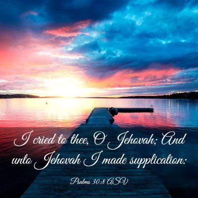 Picture 03 - Psalms 30:8 ASV - I cried to thee, O Jehovah; And unto Jehovah I - Bible Verse Picture