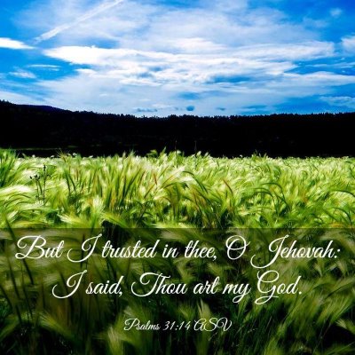 Picture 03 - Psalms 31:14 ASV - But I trusted in thee, O Jehovah: I said, Thou - Bible Verse Picture