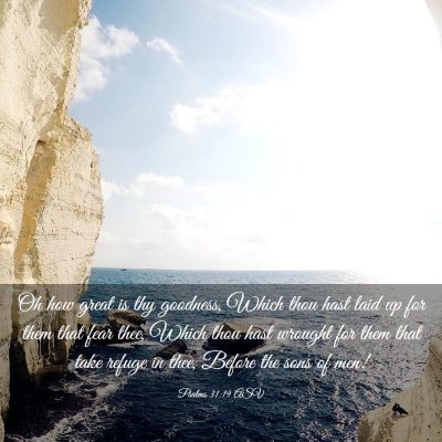 Picture 03 - Psalms 31:19 ASV - Oh how great is thy goodness, Which thou hast - Bible Verse Picture