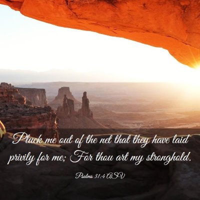 Picture 03 - Psalms 31:4 ASV - Pluck me out of the net that they have laid - Bible Verse Picture