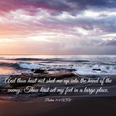 Picture 03 - Psalms 31:8 ASV - And thou hast not shut me up into the hand of the - Bible Verse Picture