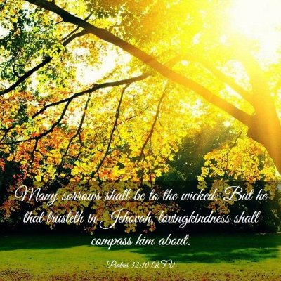 Picture 03 - Psalms 32:10 ASV - Many sorrows shall be to the wicked; But he that - Bible Verse Picture