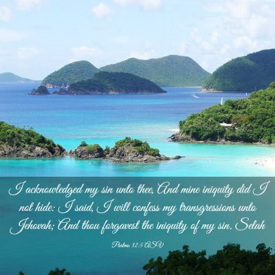 Picture 03 - Psalms 32:5 ASV - I acknowledged my sin unto thee, And mine - Bible Verse Picture
