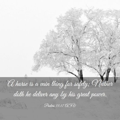 Picture 03 - Psalms 33:17 ASV - A horse is a vain thing for safety; Neither doth - Bible Verse Picture