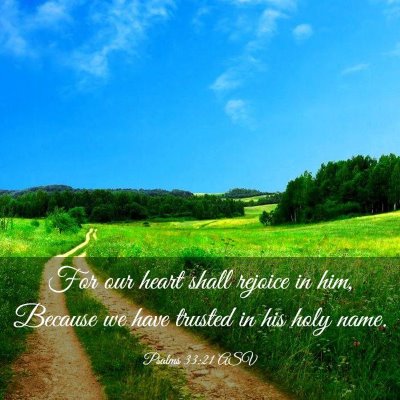 Picture 03 - Psalms 33:21 ASV - For our heart shall rejoice in him, Because we - Bible Verse Picture