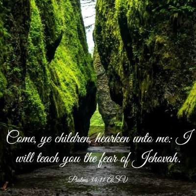 Picture 03 - Psalms 34:11 ASV - Come, ye children, hearken unto me: I will teach - Bible Verse Picture