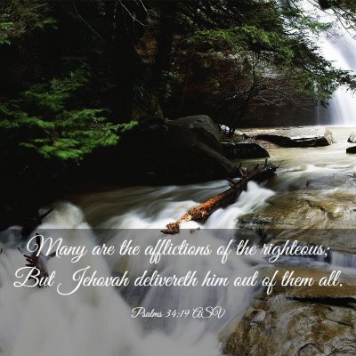 Picture 03 - Psalms 34:19 ASV - Many are the afflictions of the righteous; But - Bible Verse Picture