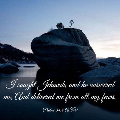 Picture 03 - Psalms 34:4 ASV - I sought Jehovah, and he answered me, And - Bible Verse Picture