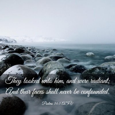 Picture 03 - Psalms 34:5 ASV - They looked unto him, and were radiant; And their - Bible Verse Picture