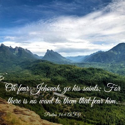 Picture 03 - Psalms 34:9 ASV - Oh fear Jehovah, ye his saints; For there is no - Bible Verse Picture