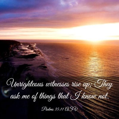 Picture 03 - Psalms 35:11 ASV - Unrighteous witnesses rise up; They ask me of - Bible Verse Picture