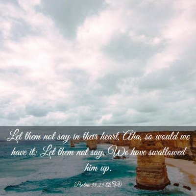 Picture 03 - Psalms 35:25 ASV - Let them not say in their heart, Aha, so would we - Bible Verse Picture