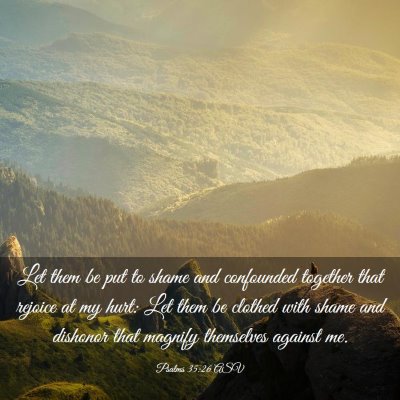 Picture 03 - Psalms 35:26 ASV - Let them be put to shame and confounded together - Bible Verse Picture