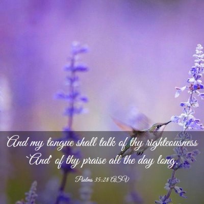 Picture 03 - Psalms 35:28 ASV - And my tongue shall talk of thy righteousness - Bible Verse Picture