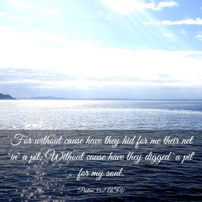 Picture 03 - Psalms 35:7 ASV - For without cause have they hid for me their net - Bible Verse Picture