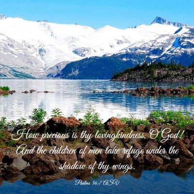 Picture 03 - Psalms 36:7 ASV - How precious is thy lovingkindness, O God! And - Bible Verse Picture