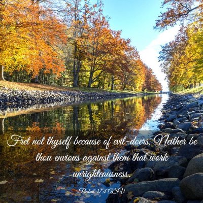 Picture 03 - Psalms 37:1 ASV - Fret not thyself because of evil-doers, Neither - Bible Verse Picture