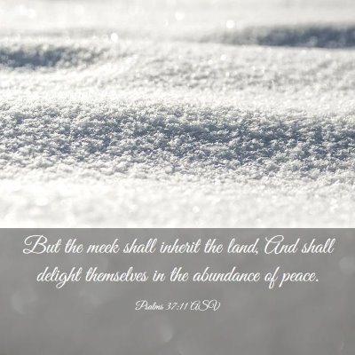 Picture 03 - Psalms 37:11 ASV - But the meek shall inherit the land, And shall - Bible Verse Picture