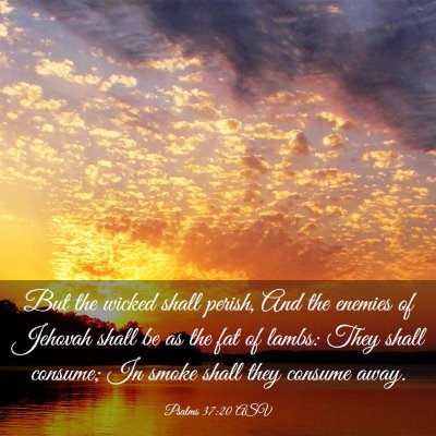 Picture 03 - Psalms 37:20 ASV - But the wicked shall perish, And the enemies of - Bible Verse Picture