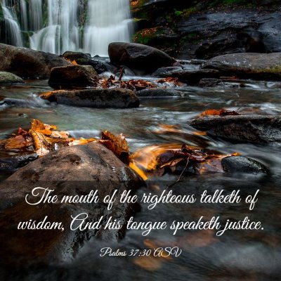 Picture 03 - Psalms 37:30 ASV - The mouth of the righteous talketh of wisdom, And - Bible Verse Picture