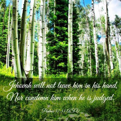 Picture 03 - Psalms 37:33 ASV - Jehovah will not leave him in his hand, Nor - Bible Verse Picture