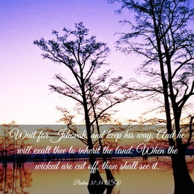 Picture 03 - Psalms 37:34 ASV - Wait for Jehovah, and keep his way, And he will - Bible Verse Picture