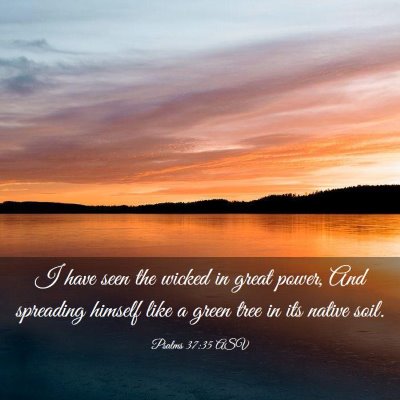 Picture 03 - Psalms 37:35 ASV - I have seen the wicked in great power, And - Bible Verse Picture