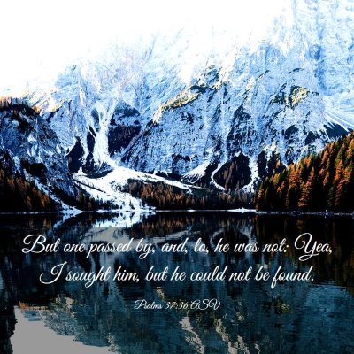 Picture 03 - Psalms 37:36 ASV - But one passed by, and, lo, he was not: Yea, I - Bible Verse Picture