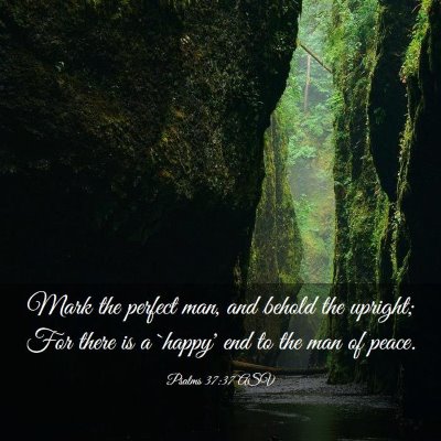 Picture 03 - Psalms 37:37 ASV - Mark the perfect man, and behold the upright; For - Bible Verse Picture