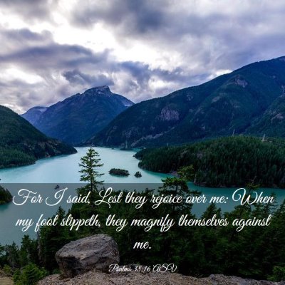 Picture 03 - Psalms 38:16 ASV - For I said, Lest they rejoice over me: When my - Bible Verse Picture
