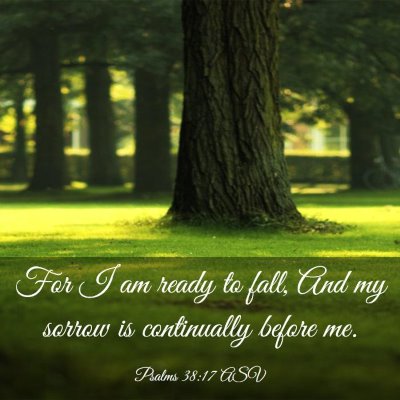 Picture 03 - Psalms 38:17 ASV - For I am ready to fall, And my sorrow is - Bible Verse Picture