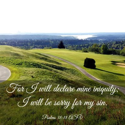 Picture 03 - Psalms 38:18 ASV - For I will declare mine iniquity; I will be sorry - Bible Verse Picture
