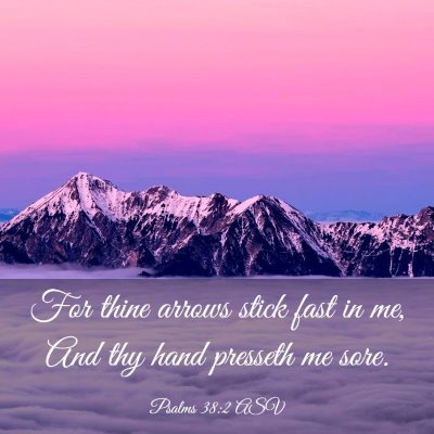 Picture 03 - Psalms 38:2 ASV - For thine arrows stick fast in me, And thy hand - Bible Verse Picture
