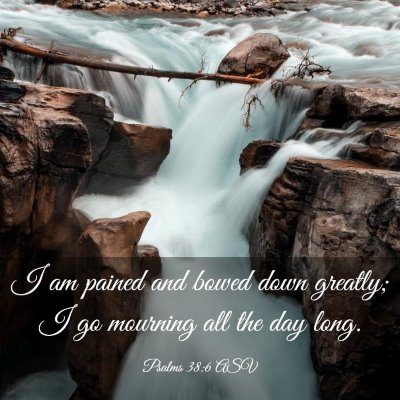 Picture 03 - Psalms 38:6 ASV - I am pained and bowed down greatly; I go mourning - Bible Verse Picture