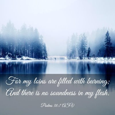 Picture 03 - Psalms 38:7 ASV - For my loins are filled with burning; And there - Bible Verse Picture