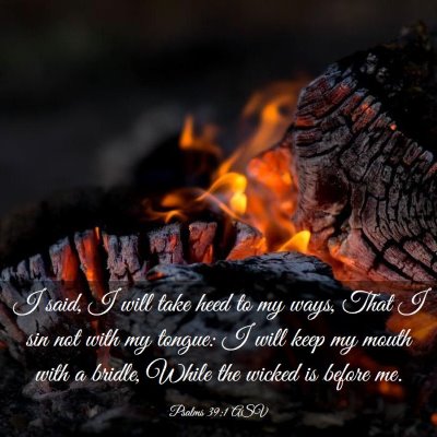 Picture 03 - Psalms 39:1 ASV - I said, I will take heed to my ways, That I sin - Bible Verse Picture