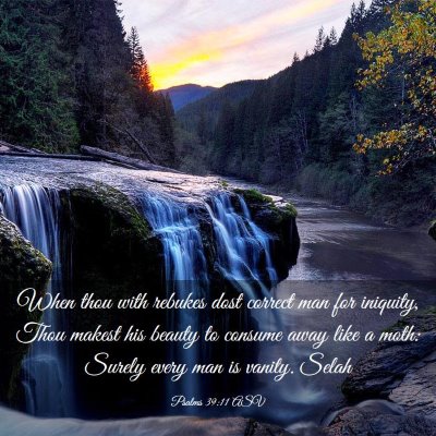 Picture 03 - Psalms 39:11 ASV - When thou with rebukes dost correct man for - Bible Verse Picture