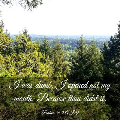 Picture 03 - Psalms 39:9 ASV - I was dumb, I opened not my mouth; Because thou - Bible Verse Picture